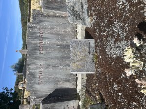 IMG_3117.jpeg