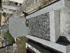 IMG_3123.jpeg